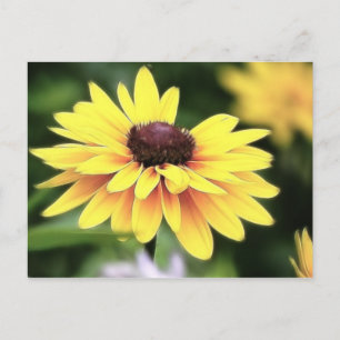 Garden Perfection - Black Eyed Susan Vykort