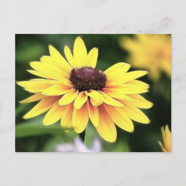 Garden Perfection - Black Eyed Susan Vykort (Framsida)