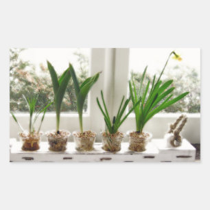 Garden Photo Rektangulärt Klistermärke