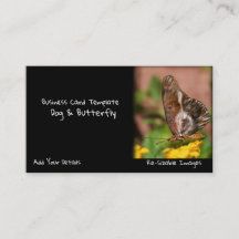 Garden Photography Butterfly Vingar Hund