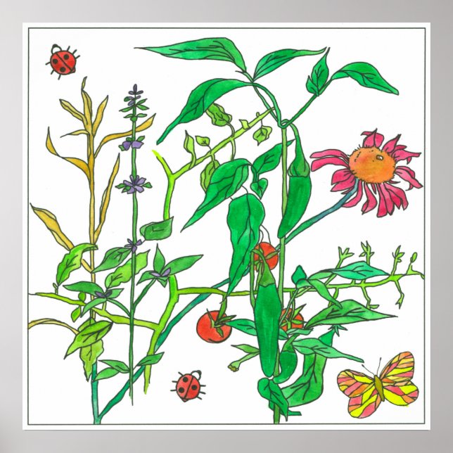 Garden Plants Coneflower Ladybug Butterfly Poster (Framsidan)