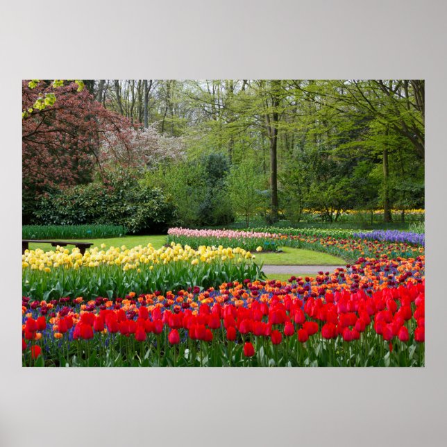 Garden Poster (Framsidan)