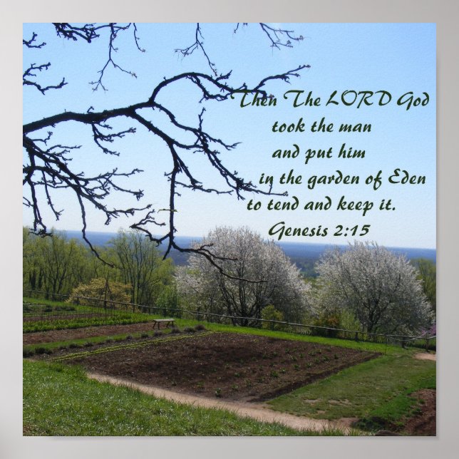 Garden Poster (Framsidan)