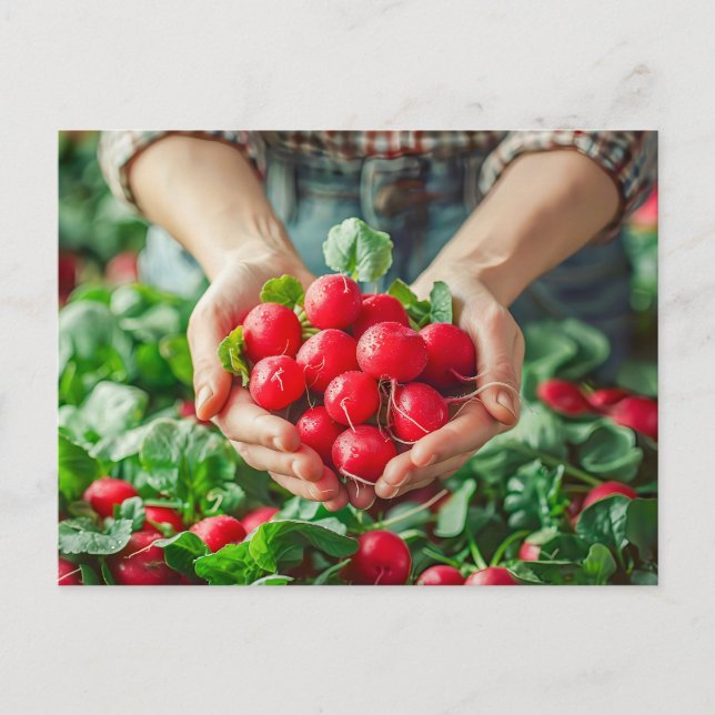 Garden Radlies med Crisp Färg Helg Vykort (Framsida)