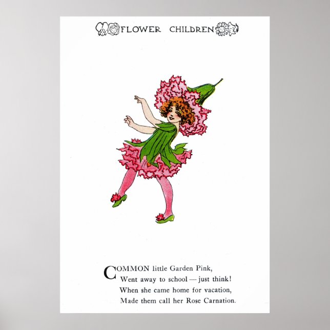 Garden Rosa - Ro Carnation Poster (Framsidan)