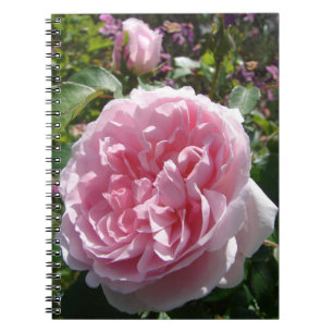 Garden Rosa Vintage Ro Blommigt Blommor för bärbar Anteckningsbok