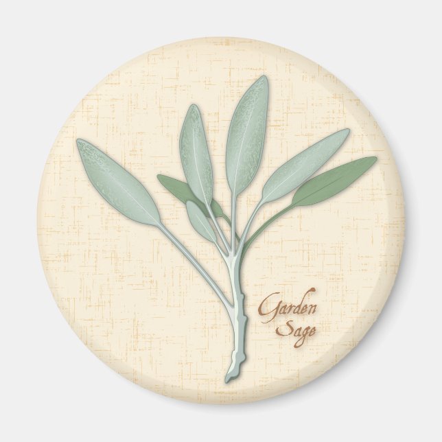 Garden Sage Herb Magnet (Framsidan)