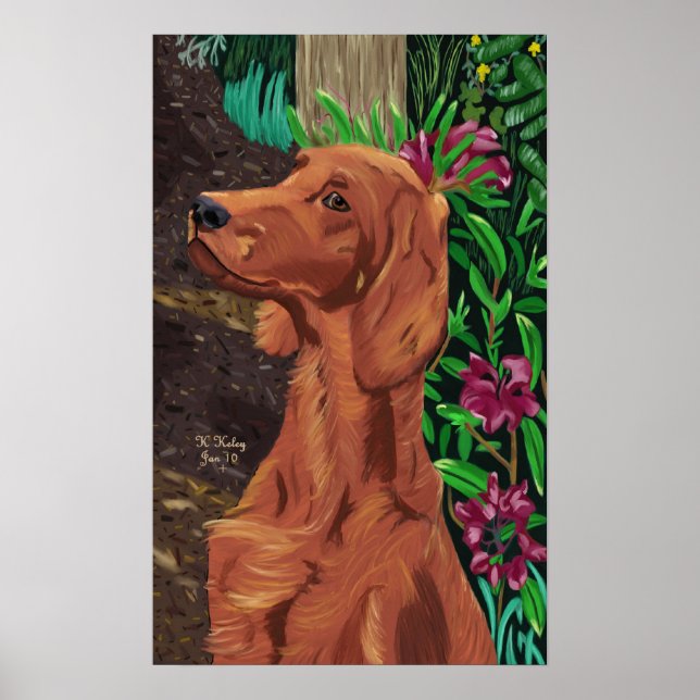 Garden Setter poster (Framsidan)