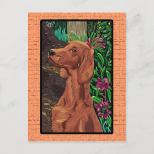 Garden Setter vykort