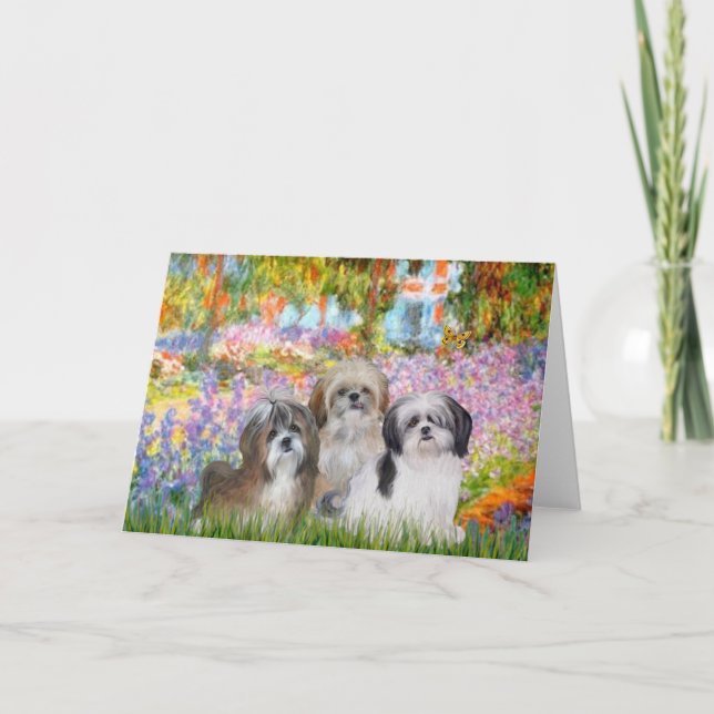 Garden - Shih Tzus (3) Kort (Framsida)