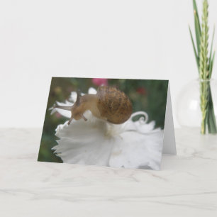 Garden Snigel och White Carnation Greeting Card Kort
