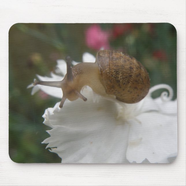 Garden Snigel och White Carnation Mousepad Musmatta (Framsidan)