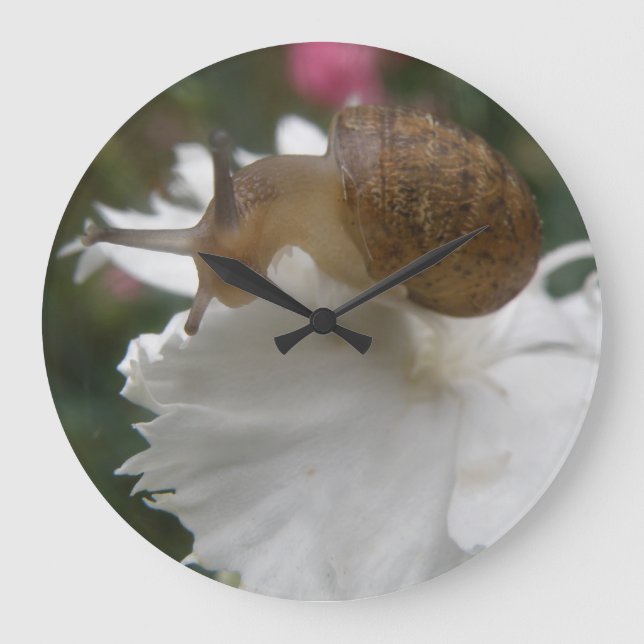 Garden Snigel och White Carnation Wall Clock Stor Klocka (Framsida)