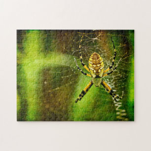 Garden Spider Pussel