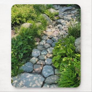 Garden stone väg   Natur   Kärnlivslängd Musmatta