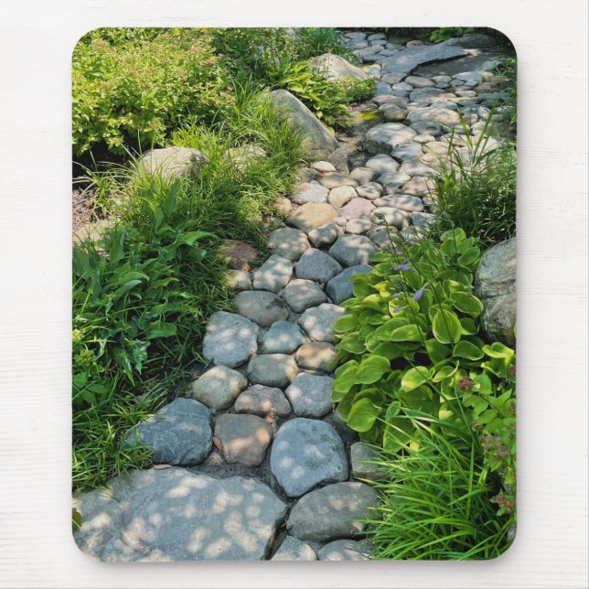 Garden stone väg | Natur | Kärnlivslängd Musmatta (Framsidan)