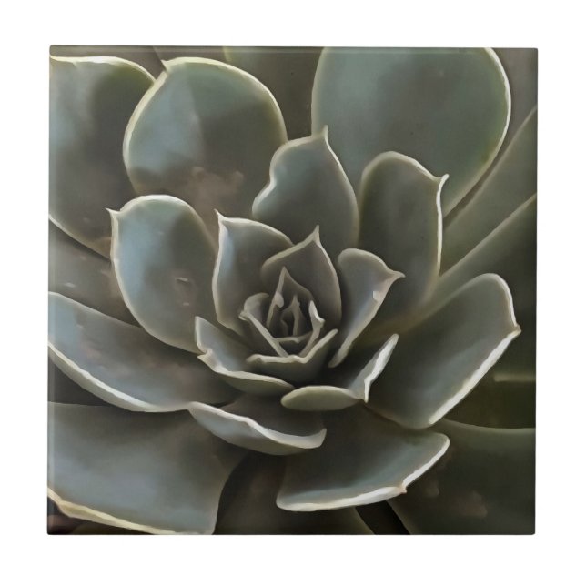 Garden Succulary Grönt Grått Tones Realistic Art Kakelplatta (Framsidan)