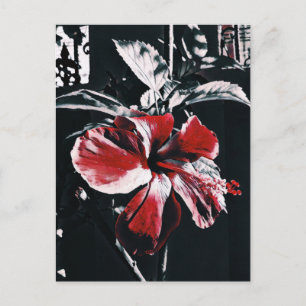 Garden Tropical Hibiscus Artwork Helg Vykort