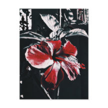 Garden Tropical Hibiscus Artwork