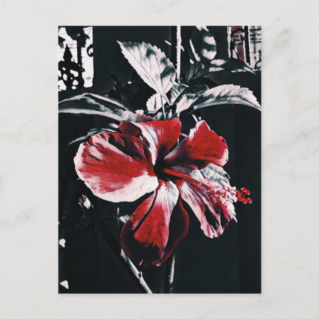 Garden Tropical Hibiscus Artwork Helg Vykort (Framsida)