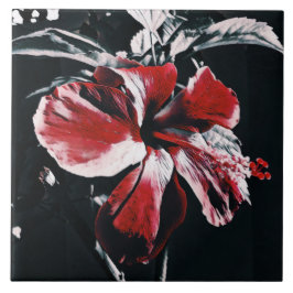 Garden Tropical Hibiscus Artwork Kakelplatta