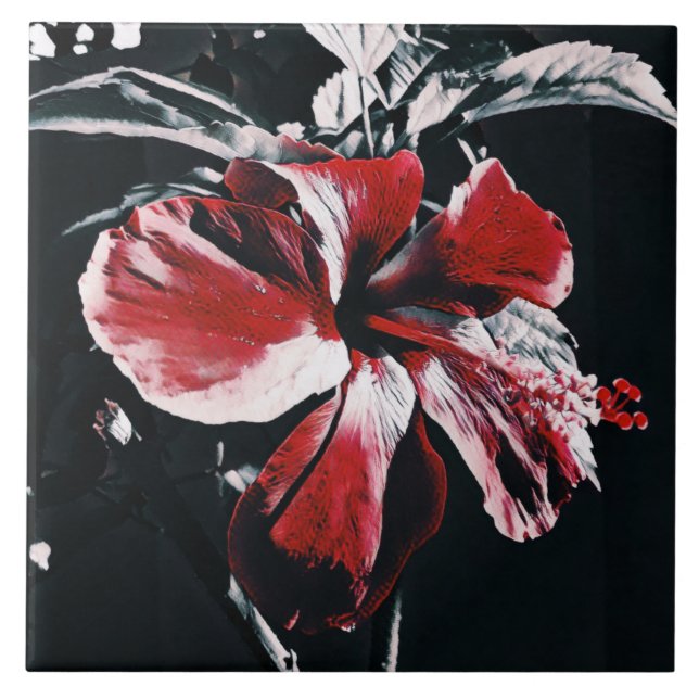 Garden Tropical Hibiscus Artwork Kakelplatta (Framsidan)