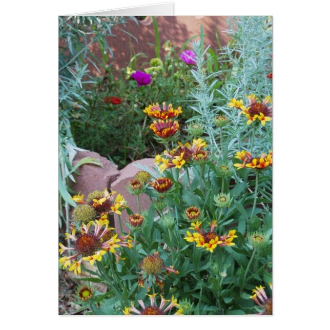 GARDEN VARIETY HÄLSNINGSKORT (Framsidan)