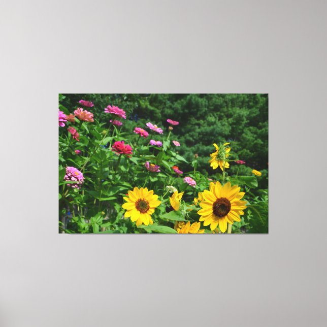 Garden View-blommigt, daisy, solblommor Canvastryck (Framsida)