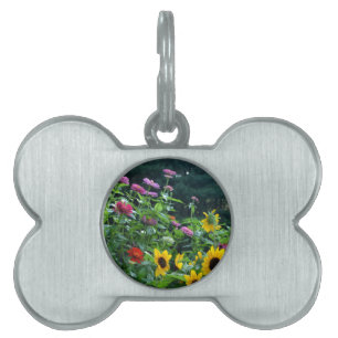 Garden View, daisy, kosmos, solblommor ID-bricka Husdjur