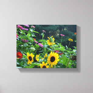 Garden View, daisy, kosmos, solblommor, morsa Canvastryck
