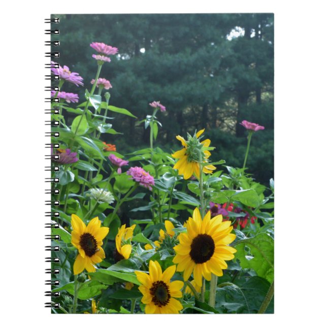 Garden View- Solros, daisy, kosmos Anteckningsbok Med Spiral (Framsidan)