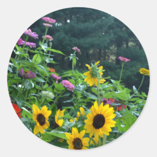Garden View- Solros, daisy, kosmos Runt Klistermärke