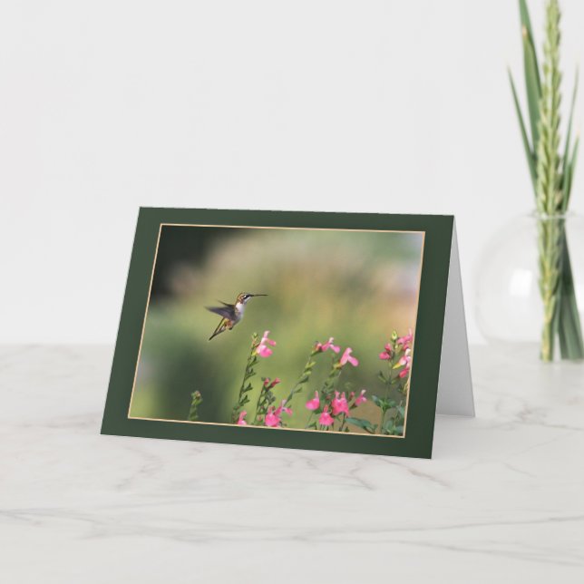 Garden Visitor Kort (Framsida)