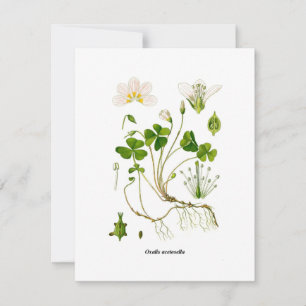 Gardener