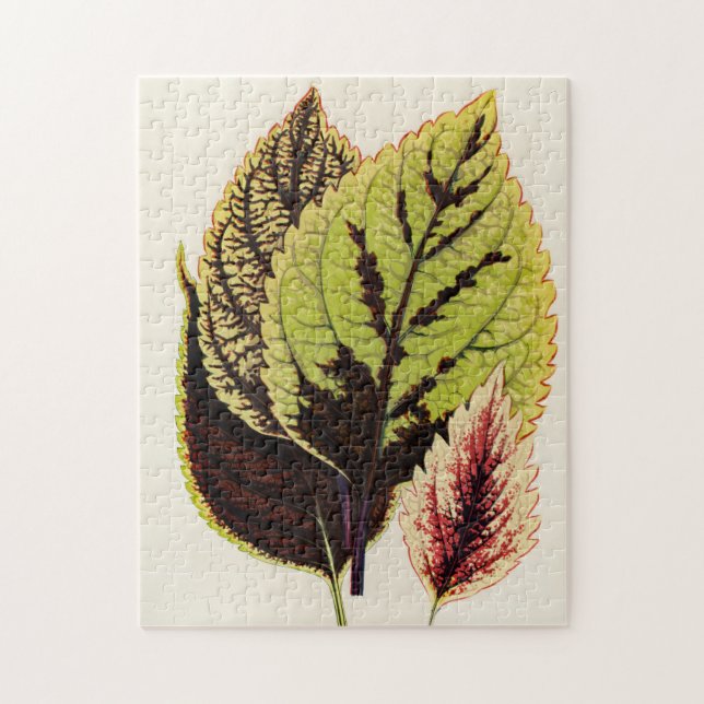 Gardener Botanic Speciell Gift Pussel (Vertikal)