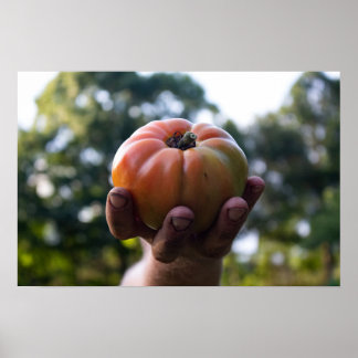 Gardener Holding a Tomato Print Poster