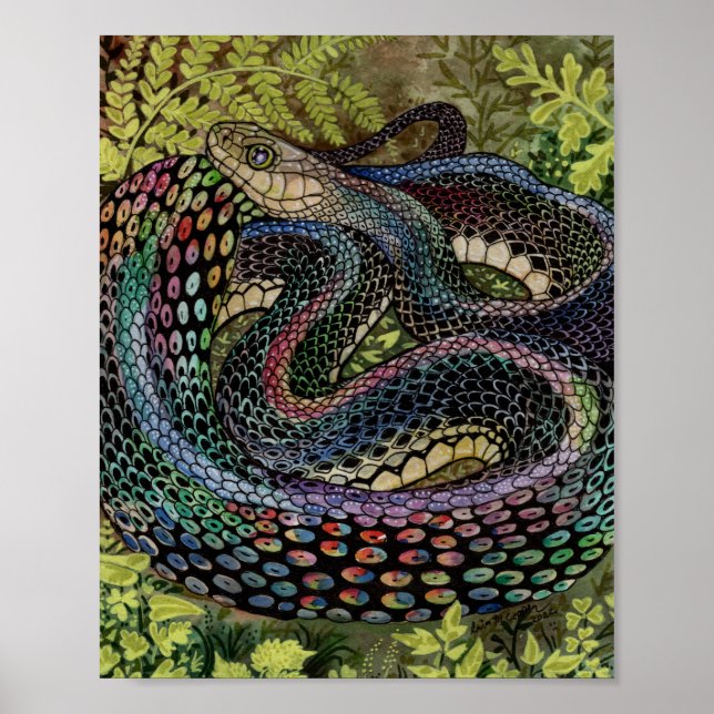 Gardener Snake Study besöker andra ställen än hude Poster (Framsidan)