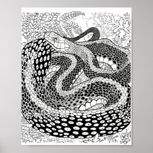 Gardener Snake Study bortom sidan för hudfärgning Poster