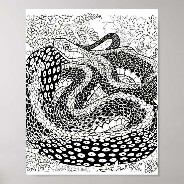 Gardener Snake Study bortom sidan för hudfärgning Poster (Framsidan)