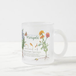 Gardener's teatime mug / herbs no2 frostad glasmugg