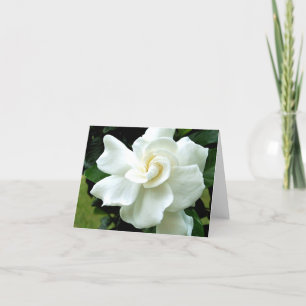 Gardenia-anteckningskort Kort