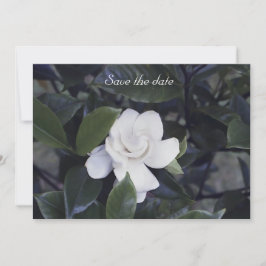 Gardenia Blommigt Spara datumkortet Datumet