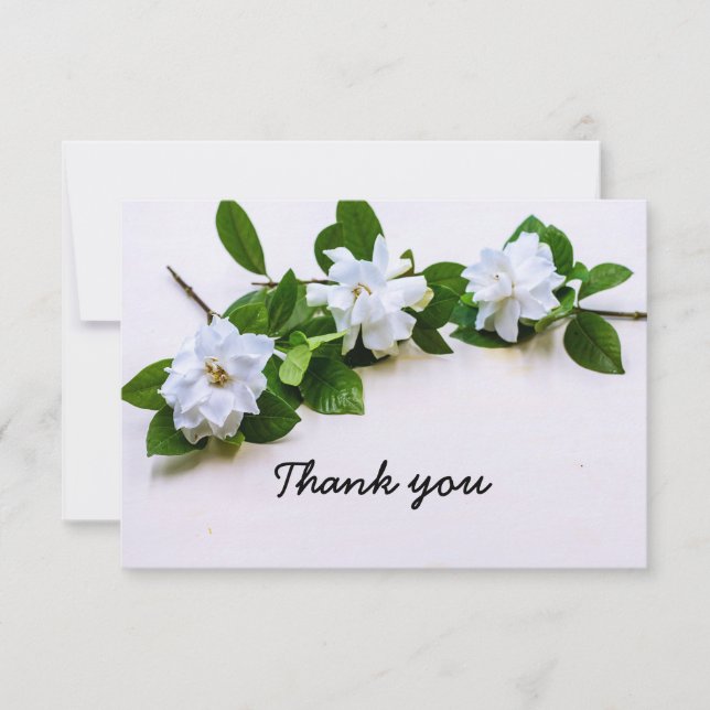 Gardenia-blommor Sympathy Tack Flat Card Kort (Framsida)