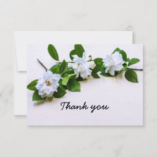 Gardenia-blommor Sympathy Tack Flat Card Kort