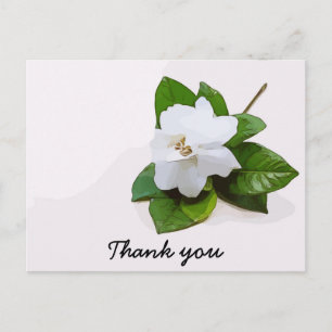 Gardenia-blommor Sympathy Tack Flat Card Vykort