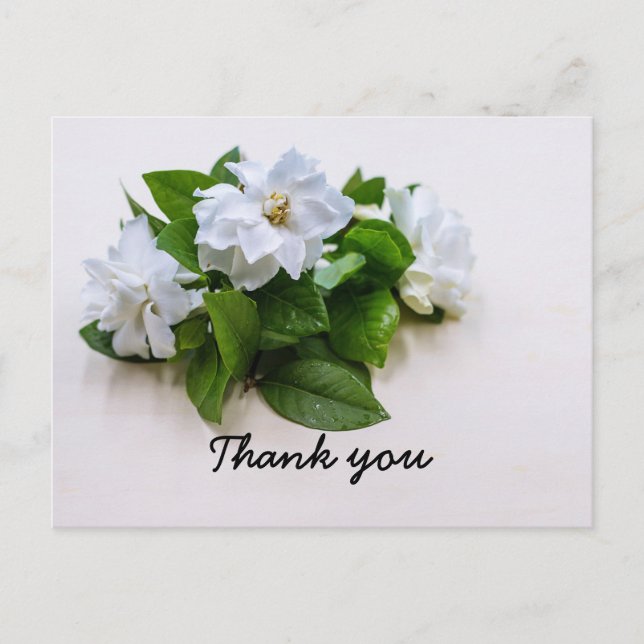 Gardenia-blommor Sympathy Tack Flat Card Vykort (Framsida)