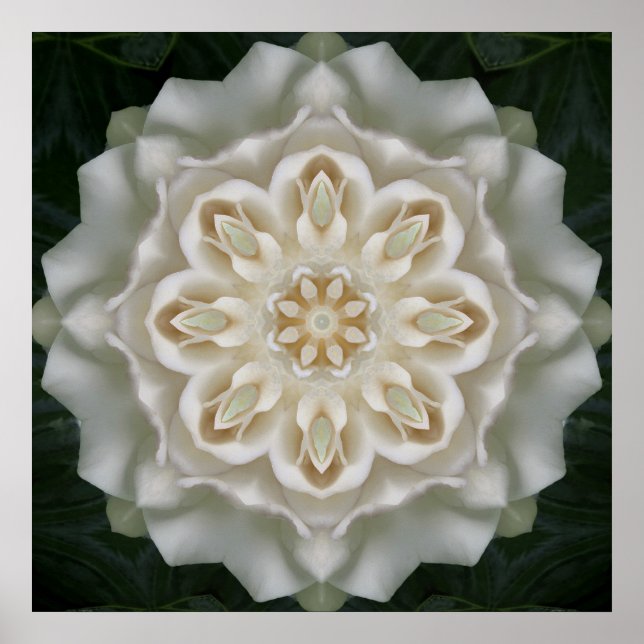 Gardenia Inner Glow Mandala Poster Skriv ut (Framsidan)