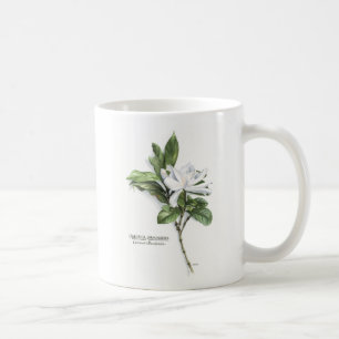 Gardenia Jasminoides (vanligt Gardenia) Kaffemugg