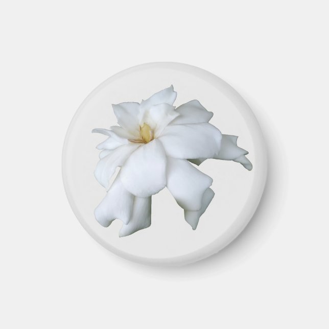 Gardenia Magnet (Framsidan)