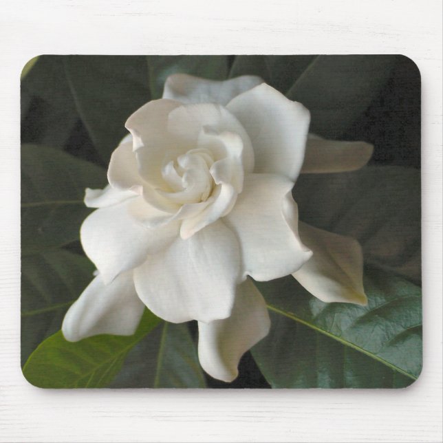 Gardenia Mousepad Musmatta (Framsidan)
